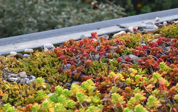 the cost of Betws Bledrws green roof installation