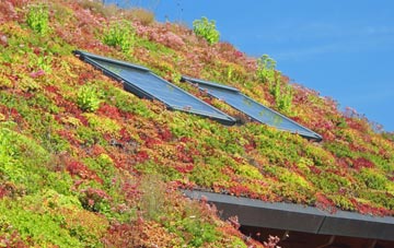 Betws Bledrws living roof systems