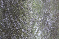 Betws Bledrws fibreglass roof work